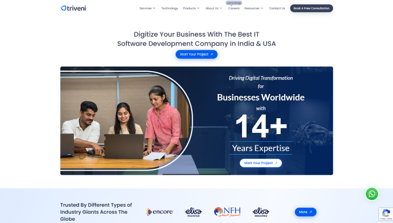 Triveni Global IT Solution